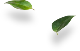 Şekil